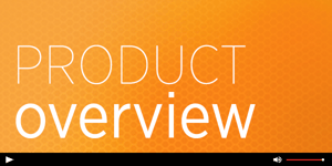 <em>From Phonics to Reading Interactive Assessments</em> Overview